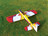 Funfly50 on  the grass.2